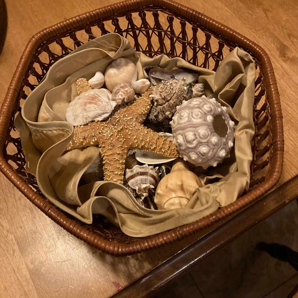 Beach Bunny Nautical Basket with Starfish and Shells
